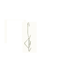 Special krog Type 21